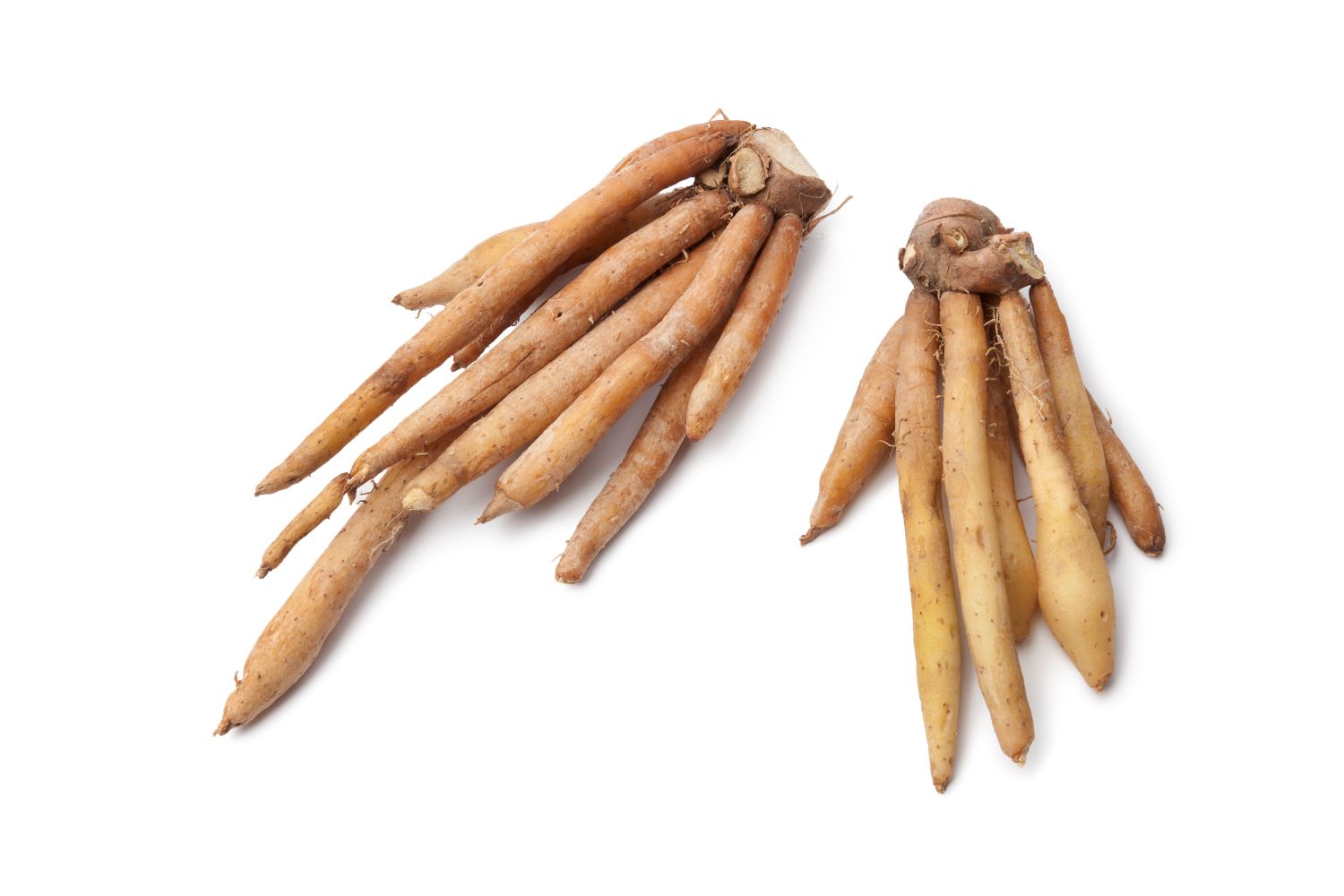 Fingerroot (or Chinese ginger)