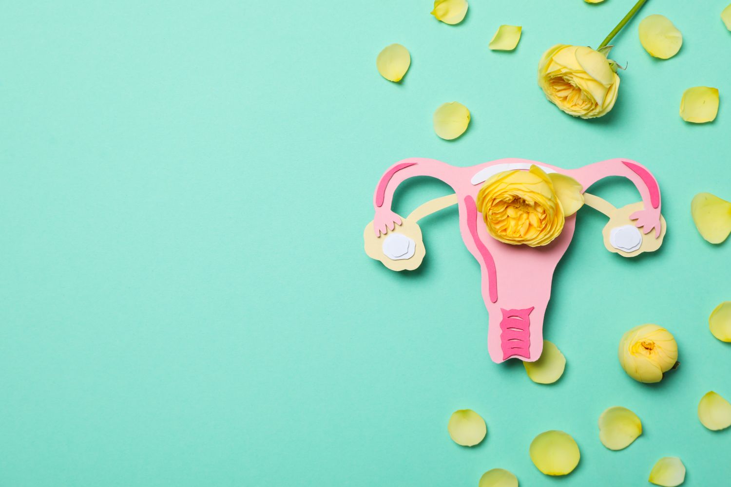 Ovarian cysts in women